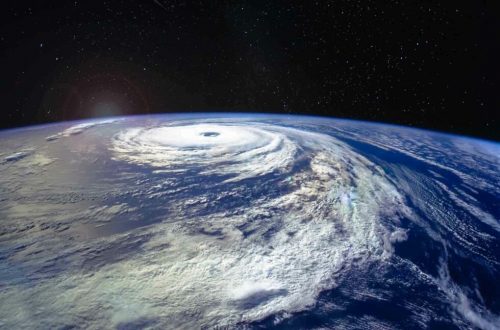 Desmatamento e Mudanças Climáticas Despertam Alerta da OMS para Potencial Pandemia