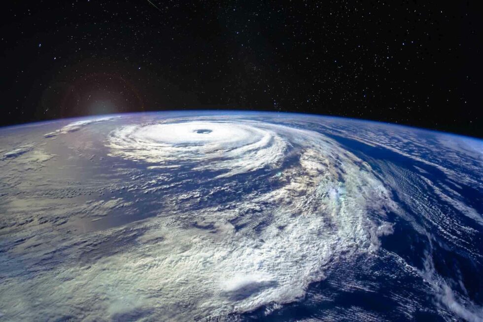 Desmatamento e Mudanças Climáticas Despertam Alerta da OMS para Potencial Pandemia